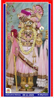 Vadtal Temple Murti Darshan