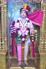 Vadtal Temple Murti Darshan