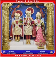 Vadtal Temple Murti Darshan