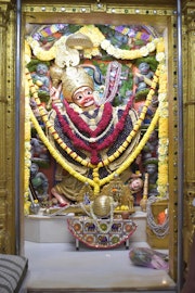 Vadtal Temple Murti Darshan