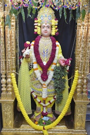 Vadtal Temple Murti Darshan