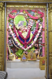 Vadtal Temple Murti Darshan