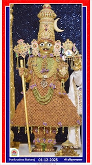 Vadtal Temple Murti Darshan