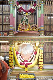 Vadtal Temple Murti Darshan