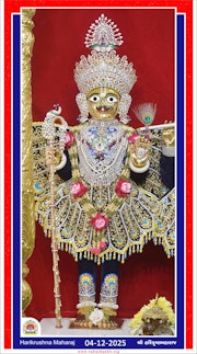 Vadtal Temple Murti Darshan