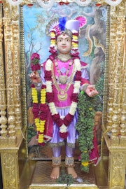 Vadtal Temple Murti Darshan