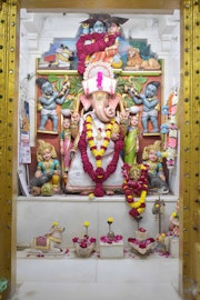 Vadtal Temple Murti Darshan