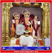 Vadtal Temple Murti Darshan