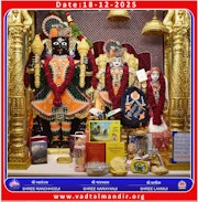 Vadtal Temple Murti Darshan