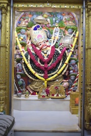 Vadtal Temple Murti Darshan