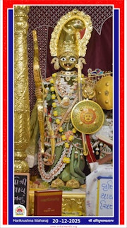 Vadtal Temple Murti Darshan