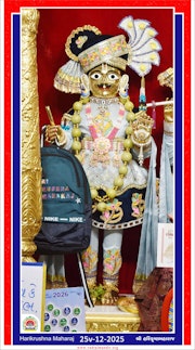 Vadtal Temple Murti Darshan