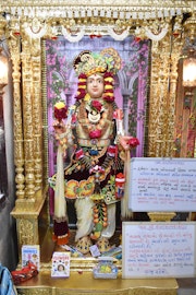 Vadtal Temple Murti Darshan