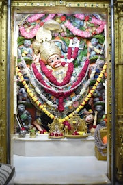 Vadtal Temple Murti Darshan