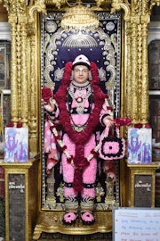 Vadtal Temple Murti Darshan