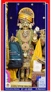 Vadtal Temple Murti Darshan