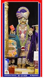 Vadtal Temple Murti Darshan