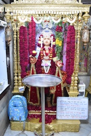 Vadtal Temple Murti Darshan