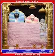 Vadtal Temple Murti Darshan