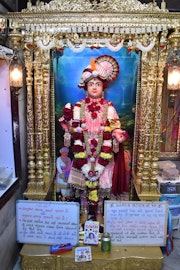 Vadtal Temple Murti Darshan