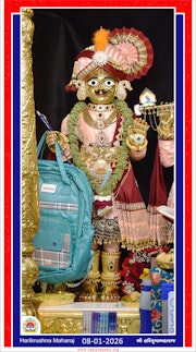Vadtal Temple Murti Darshan