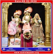 Vadtal Temple Murti Darshan