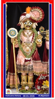 Vadtal Temple Murti Darshan