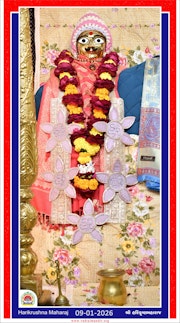 Vadtal Temple Murti Darshan