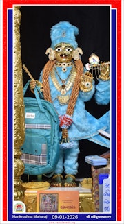 Vadtal Temple Murti Darshan