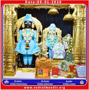 Vadtal Temple Murti Darshan