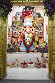 Vadtal Temple Murti Darshan