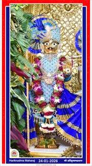Vadtal Temple Murti Darshan
