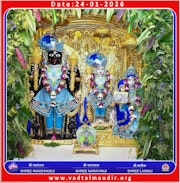 Vadtal Temple Murti Darshan
