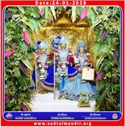 Vadtal Temple Murti Darshan