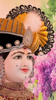 Baltimore  Temple (ISSO) Murti Darshan