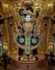 Willesden Temple Murti Darshan