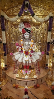 Willesden Temple Murti Darshan