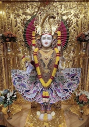 Willesden Temple Murti Darshan
